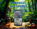 Кава у зернах Essse Caffe Honduras San Andres 250 г 0101014 фото 2